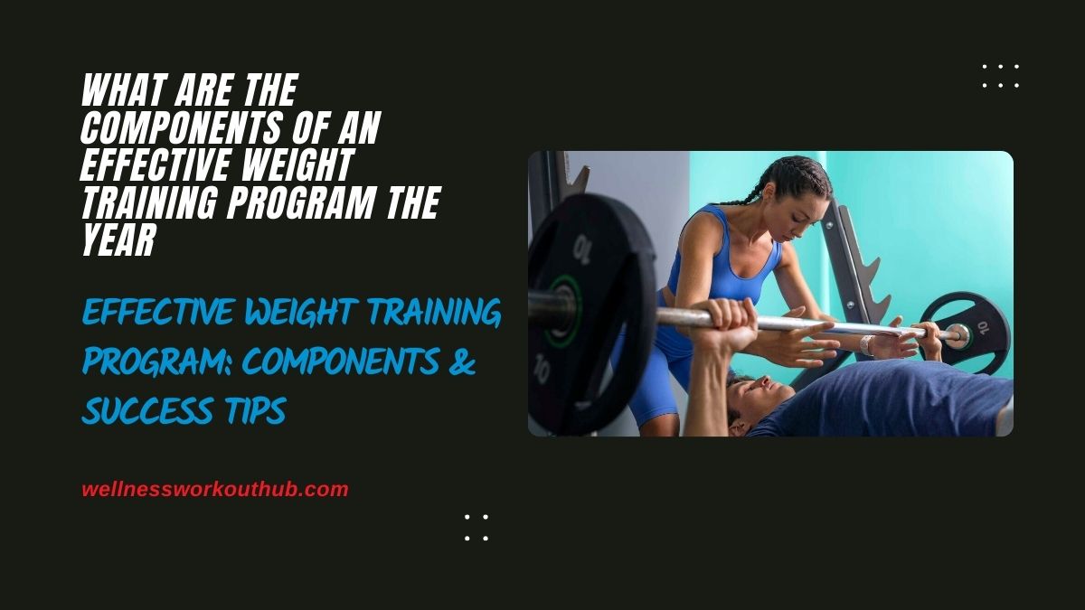 Effective Weight Training Program: Components & Success Tips